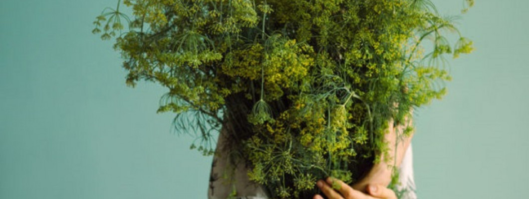 9 TYPICAL QUESTIONS TO A VEGAN 9 TYPICAL QUESTIONS TO A VEGAN