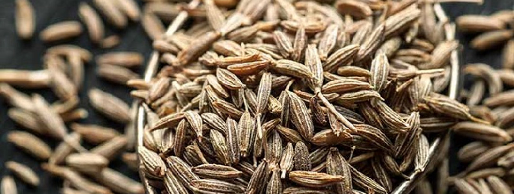 CUMIN - A NECESSARY SPICE IN YOUR KITCHEN CUMIN - A NECESSARY SPICE IN YOUR KITCHEN