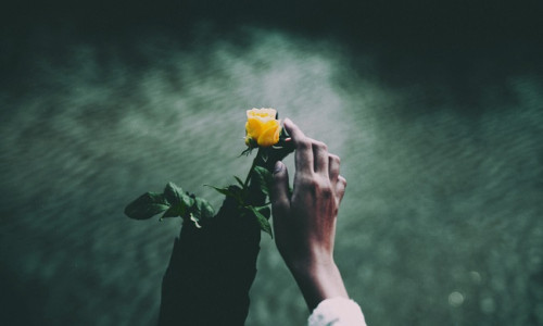 ÜHEPOOLNE ARMASTUS - UNENÄGUDE SELETAJA ÜHEPOOLNE ARMASTUS - UNENÄGUDE SELETAJA