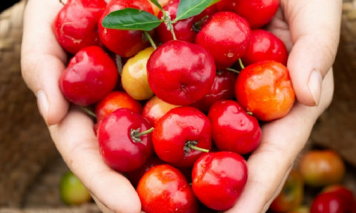ACEROLA KIRSS - SINU ENERGIA JA ILU SALADUS ACEROLA KIRSS - SINU ENERGIA JA ILU SALADUS