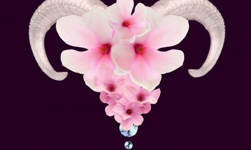 NOORKUU JÄÄRAS - TAASTA ENDA TERVIS JA ISIKLIK VÄGI! NOORKUU JÄÄRAS - TAASTA ENDA TERVIS JA ISIKLIK VÄGI!