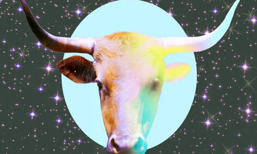 ТЕЛЕЦ - 4 ВНУТРЕННИХ ПРОТИВОРЕЧИЙ, КОТОРЫЕ ПОНИМАЕТ ТОЛЬКО ОН