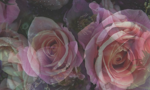 UUE ARMASTUSE RITUAAL NOORE KUU AJAL