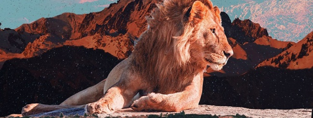 7 THINGS YOU CAN NEVER DO TO A LEO 7 THINGS YOU CAN NEVER DO TO A LEO