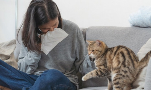 KODULOOMAALLERGIA - 6 ABISTAVAT NIPPI LEMMIKUTEGA KOOS ELAMISEKS