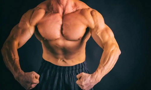 L-ARGINIIN - VÄHEM NÄRVILISUST, ROHKEM JÕUDU JA TERVIST