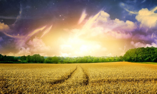 PÕLD - UNENÄGUDE SELETAJA