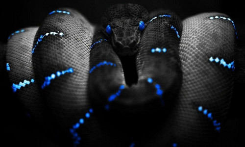 MADU - UNENÄGUDE SELETAJA