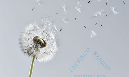 ÕHUELEMENT - KOLME SODIAAGI SALAPÄRA ÕHUELEMENT - KOLME SODIAAGI SALAPÄRA