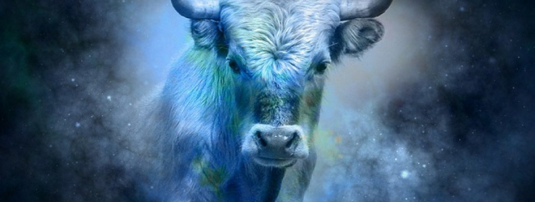 OX - CHINESE ASTROLOGY OX - CHINESE ASTROLOGY