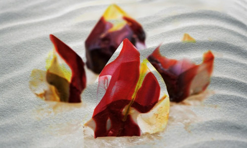 MOOKAITE - UNENÄGUDE SELETAJA MOOKAITE - UNENÄGUDE SELETAJA