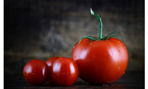 TOMAT - JUURTŠAKRA JA TERVISE PARANDAJA TOMAT - JUURTŠAKRA JA TERVISE PARANDAJA