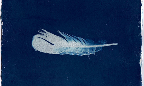 OKTOOBRI ESIMESE POOLE HOROSKOOP - PÄIKESEVARJUTUS JA TÄHTKUJUDE TEEJUHT OKTOOBRI ESIMESE POOLE HOROSKOOP - PÄIKESEVARJUTUS JA TÄHTKUJUDE TEEJUHT