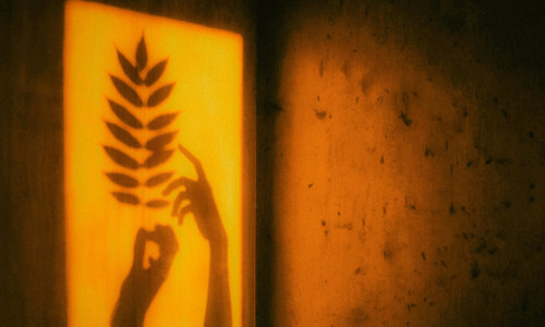 SPIRITUAALSE TRANSFORMATSIOONI JÄRGMINE ETAPP - VALGUSTATUS JA 7 MÄRKI SELLEST SPIRITUAALSE TRANSFORMATSIOONI JÄRGMINE ETAPP - VALGUSTATUS JA 7 MÄRKI SELLEST