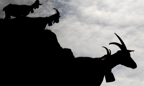 ГОРОСКОП НА 2023 ГОД - КОЗЕРОГ ГОРОСКОП НА 2023 ГОД - КОЗЕРОГ