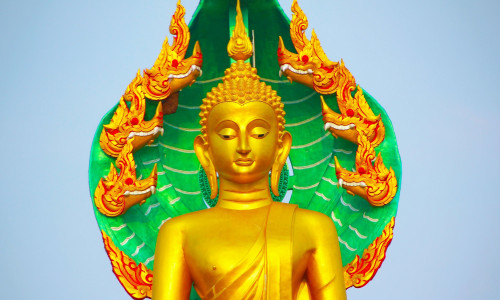 2024 – ПЕРВЫЙ ГОРОСКОП ГОДА ДРАКОНА 2024 – ПЕРВЫЙ ГОРОСКОП ГОДА ДРАКОНА