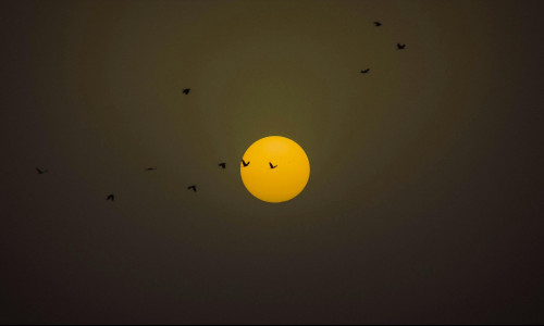 PÄIKESE KONJUNKTSIOON VEENUSEGA (22.03) - IDEAALNE AEG ARMASTAJATELE