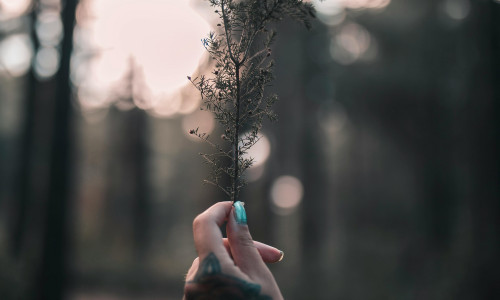 SPIRITUAALSED TÕED, MIS AITAVAD SUL END SUUREPÄRASELT TUNDA