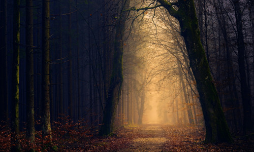 ÜKS PÕHJUS, MIKS HINGED EI LEIA RAHU