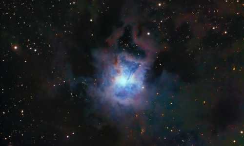 2024. AASTA HOROSKOOP SÕNNILE