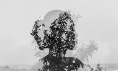 2024. AASTA HOROSKOOP VEEVALAJALE 2024. AASTA HOROSKOOP VEEVALAJALE