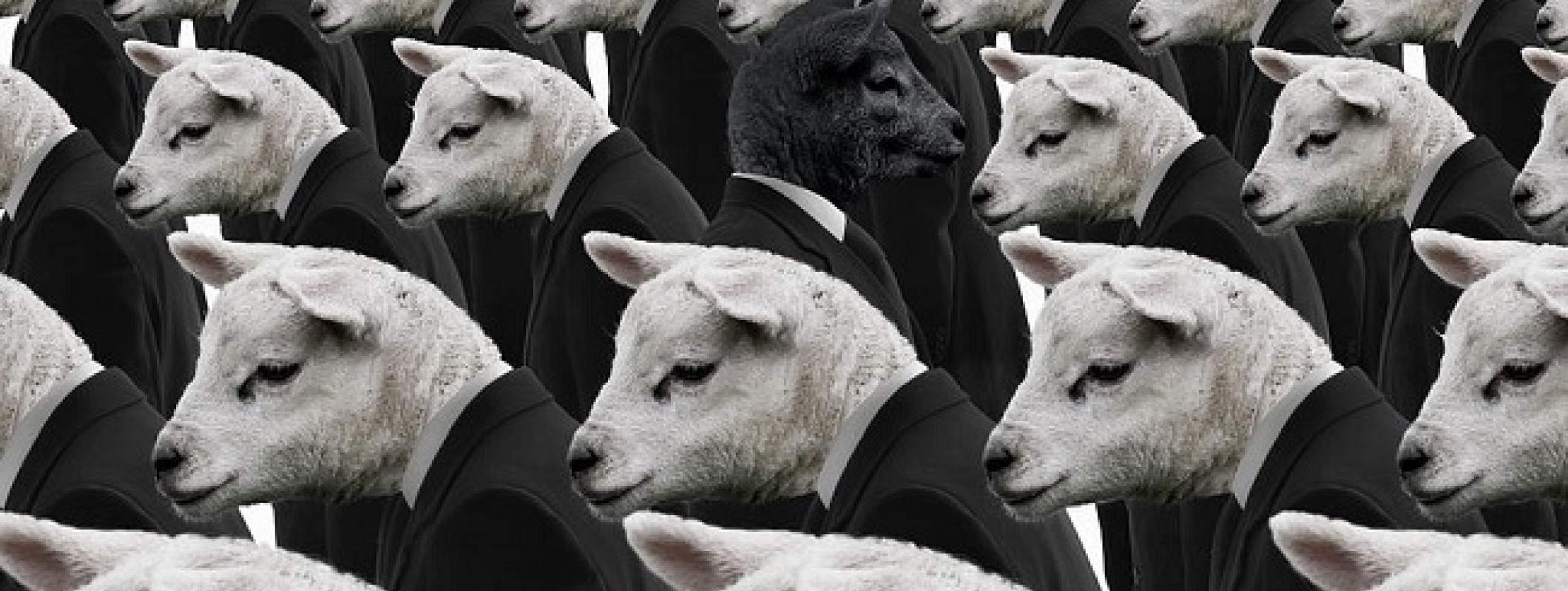 Толпа овец. Стадо людей. Общество стадо. Обитатель общества