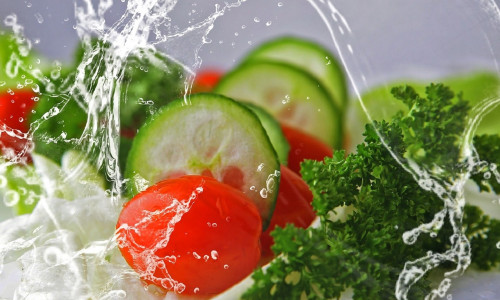 9 TÜÜPILIST KÜSIMUST VEGANILE 9 TÜÜPILIST KÜSIMUST VEGANILE