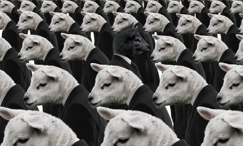 PEREKONNA MUST LAMMAS - MIKS JA MILLEKS?