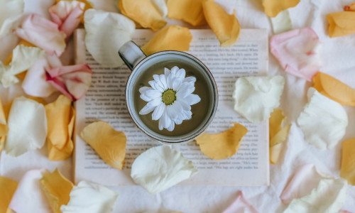 VALGE TEE - 3 PEAMIST PÕHJUST, MIKS SEDA JUUA