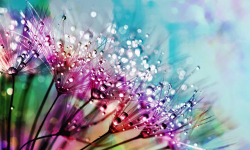 INGLISÕNUMID - 7 ja 4 KOMBINATSIOON 