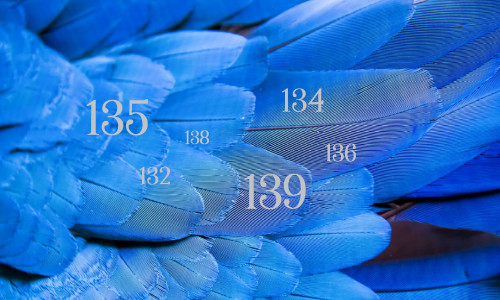 INGLISÕNUMID - NUMBER 1 JA 3 KOOS TEISTE NUMBRITEGA