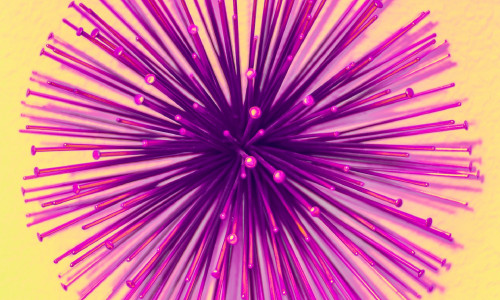 NUMBER 5 KOMBINATSIOONIDE NÄGEMINE JA SELLE SÕNUM SINU INGLITELT