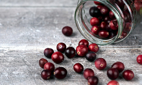 JÕHVIKAS - TERVISEALLIKAS JA SAKRAALTŠAKRA TERVENDAJA