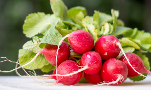 REDIS - FÜÜSILINE JA SPIRITUAALNE TERVENDAJA REDIS - FÜÜSILINE JA SPIRITUAALNE TERVENDAJA