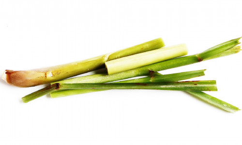 SIDRUNHEIN JA SELLE SUUREPÄRASED TERVENDAVAD OMADUSED SIDRUNHEIN JA SELLE SUUREPÄRASED TERVENDAVAD OMADUSED