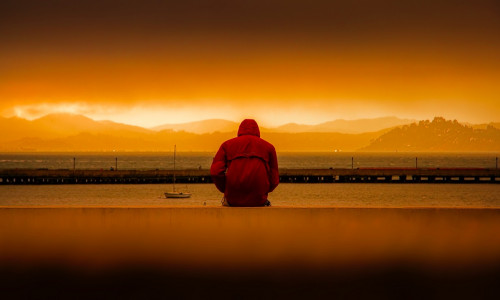 RED REISHI - DEPRESSIOONI- JA VÄHIVASTANE ALTERNATIIVNE TERVENDAJA RED REISHI - DEPRESSIOONI- JA VÄHIVASTANE ALTERNATIIVNE TERVENDAJA