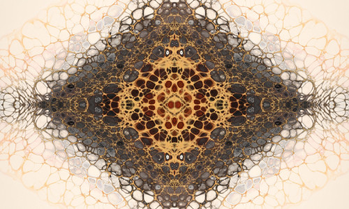 KAKSIKLEEK - ÜLIOLULINE SAMM, MIDA KINDLASTI EI TOHIKS VAHELE JÄTTA! (8. OSA)