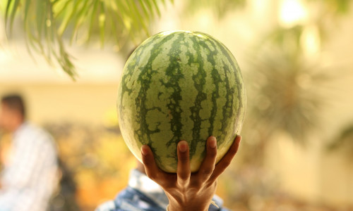 ARBUUSTURMALIIN - UNENÄGUDE SELETAJA