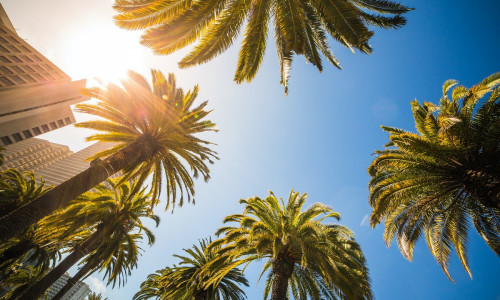 SOE ILM - UNENÄGUDE SELETAJA