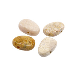 KIVISTUNUD KORALL auguga