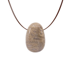 KIVISTUNUD KORALL auguga