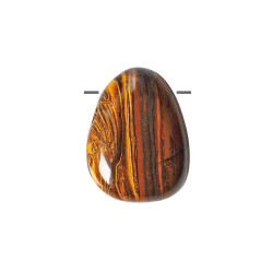 TIIGRISILM-TIIGRIRAUD auguga TIIGRISILM-TIIGRIRAUD auguga