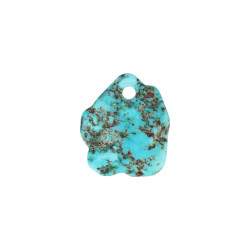 TÜRKIIS auguga erikujuline