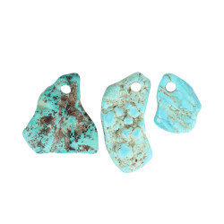 TÜRKIIS auguga erikujuline