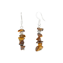 TIIGRISILM kõrvarõngad chips (metall)