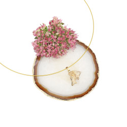 PILTJASPIS ripats delfiin (metall)