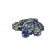 SODALIIT auguga kilpkonn