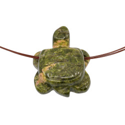 UNAKIIT auguga kilpkonn