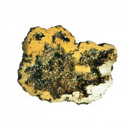 ŠAMPANJA AURA geood (koobas)