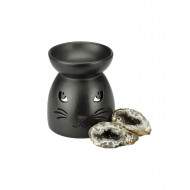 ÕLILAMP must kass ÕLILAMP must kass